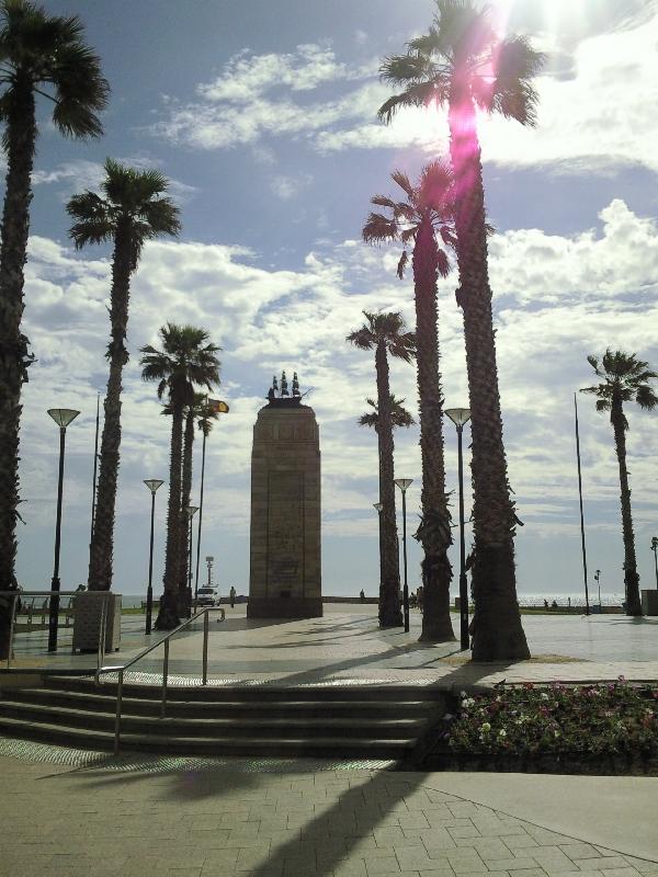 Esplanade palm trees in Glenelg, Australia