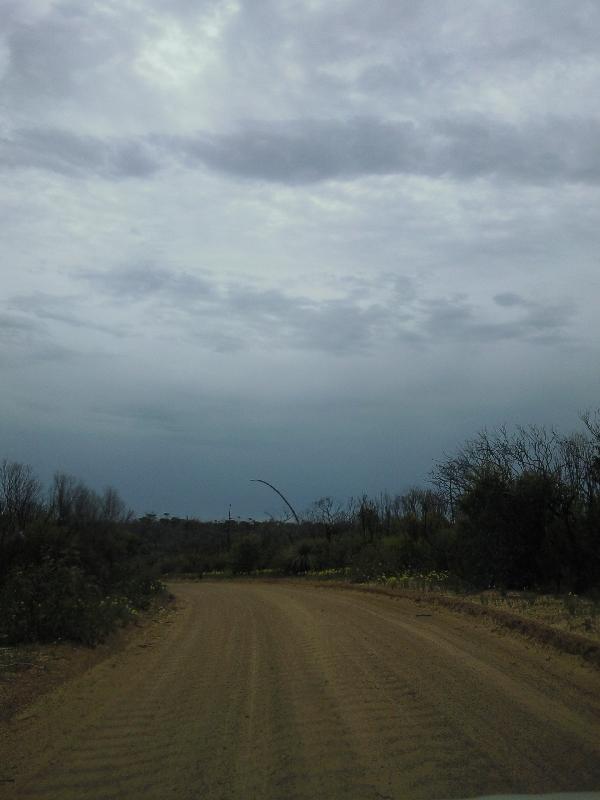 The unsealed road to Snake Lagoon, Australia