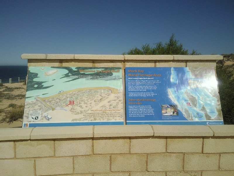 Shark Bay Australia Eagle Bluff, Shark Bay Heritage Area