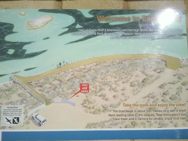 Shark Bay Australia A Map of Shark Bay at Eagle Bluff