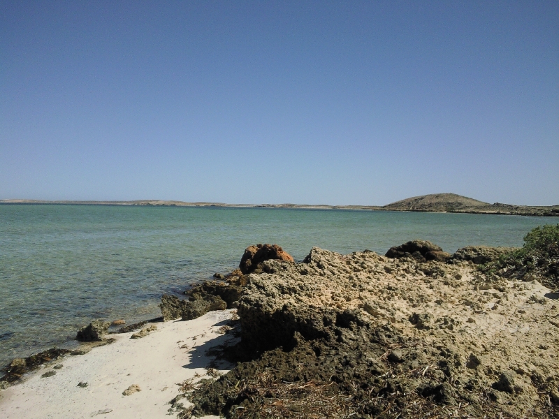 Pictures of Shark Bay, WA, Australia