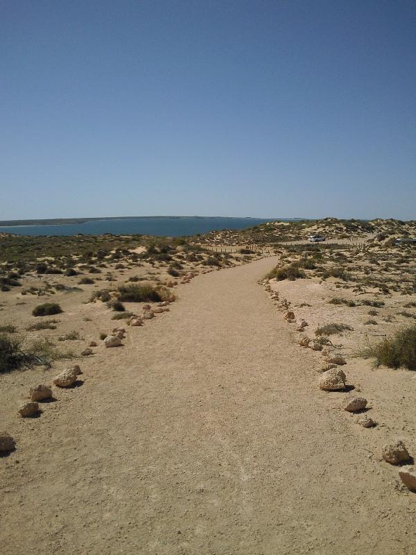 The walking path at Eagle Bluff, Shark Bay Australia