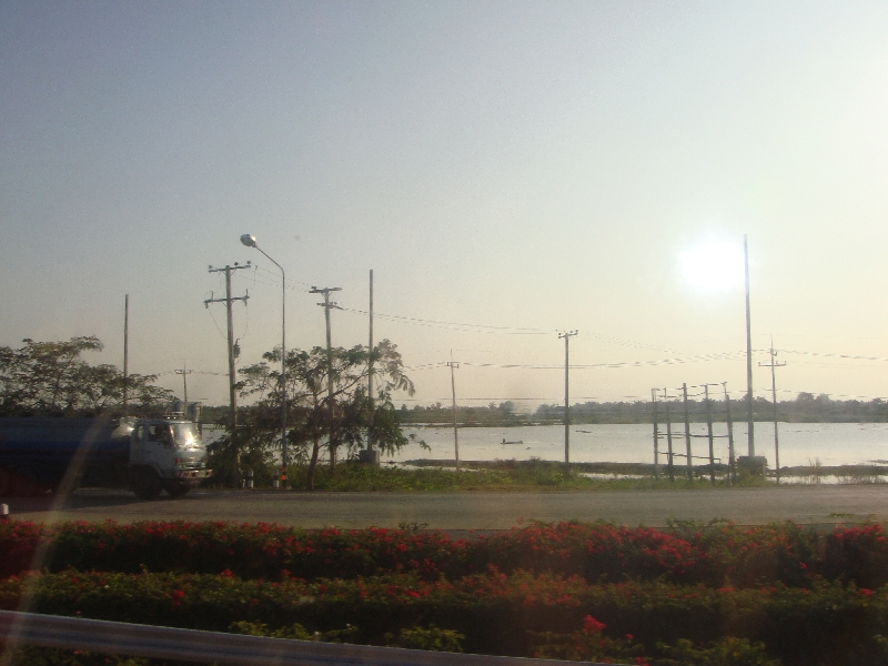 Ayutthaya Thailand Beautiful flowers out of Kanchanaburi