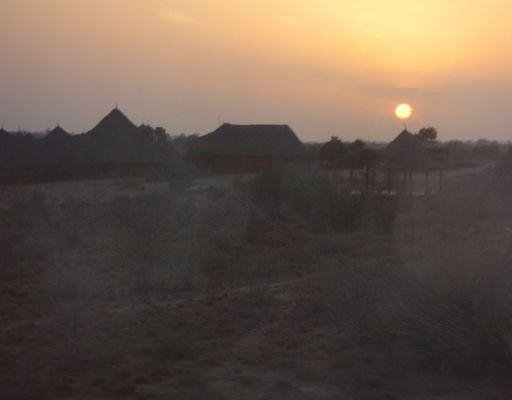 Crocodile Camp in Kenya, Kenya