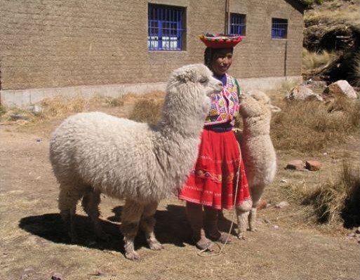 Peruvian woman with lamas, Machu Picchu Peru