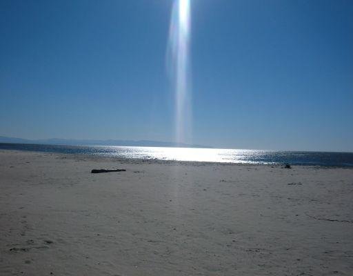 The amazing beach in Santa Cruz, United States