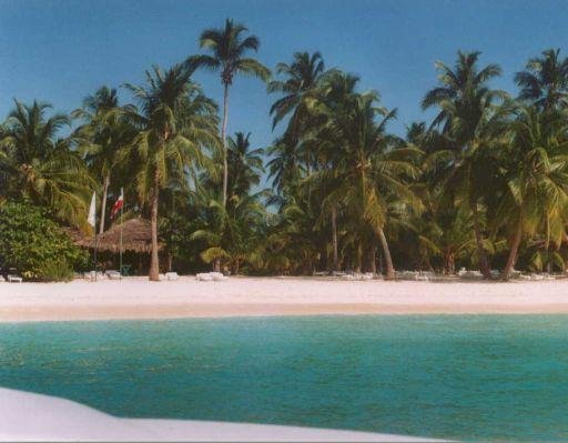 Saona Island from catamaran, Dominican Republic