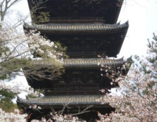 Kyoto Japan Pagoda of the Toji Temple, Kyoto