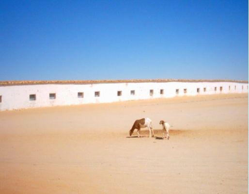 Tindouf Algeria Pictures of Western Algeria