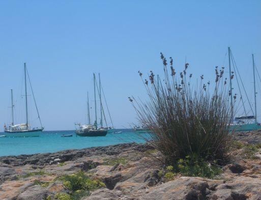 Balearic Island of Minorca Minorca Island Spain Europe