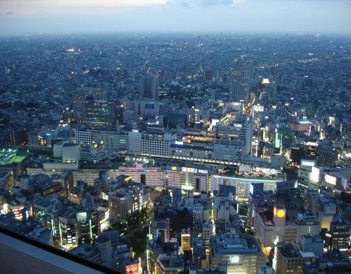 View over Tokyo, Japan, Japan