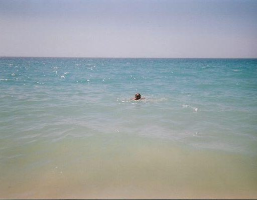 The beach in Albufeira, Portugal, Portugal