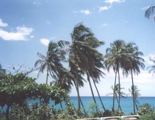 Taxi ride to Boca Chica Beach, Dominican Republic