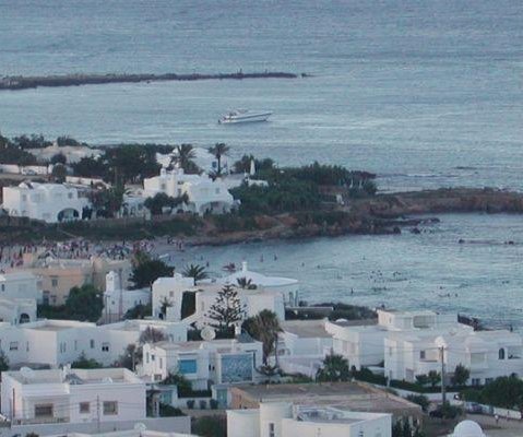 The white houses of Tunis, Tunisia., Tunis Tunisia