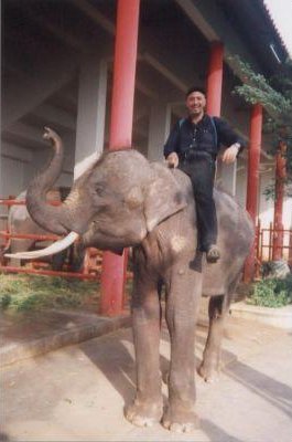 Bangkok Thailand Photo of me on an elephant in Bangkok.