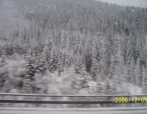 On the snowy road., Italy