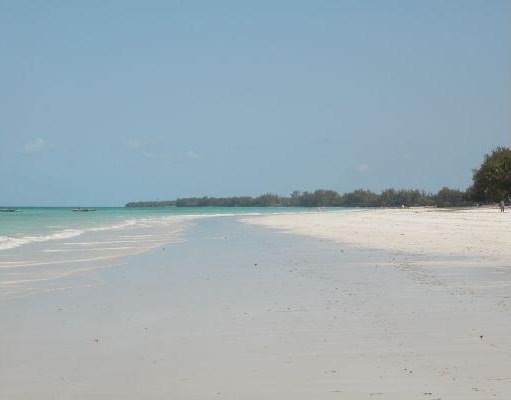 The beach of Kiwengwa in Zanzibar., Zanzibar City Tanzania