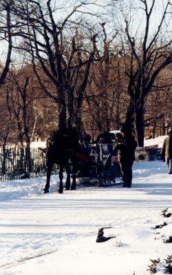 Horse-drawn carriage tours in Montreal, Canada., Montreal Canada