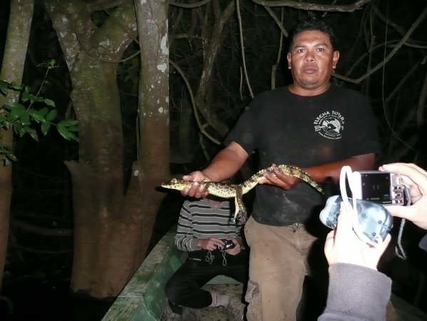 Nocturnal wildlife spotting tour in Bolivia., Rurrenabaque Bolivia