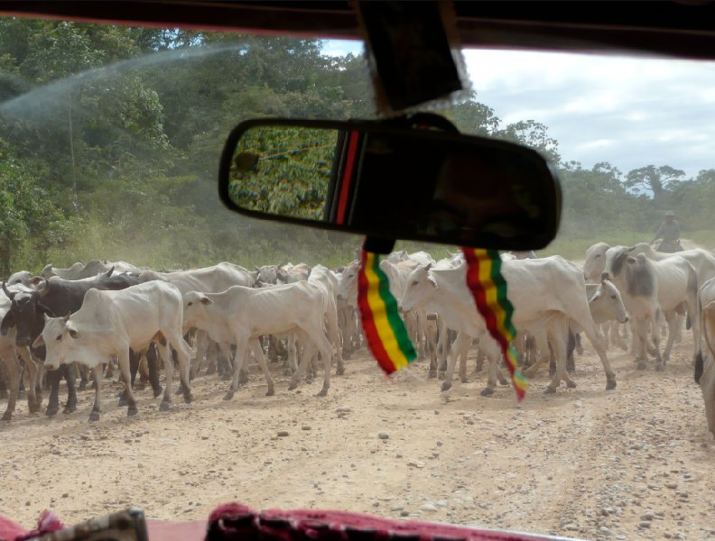 A taxi ride from Rurrenabaque., Bolivia