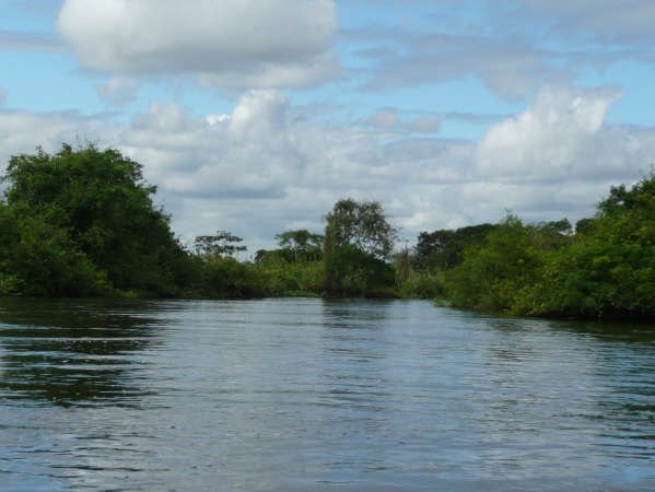 Photos of the pampas near Rurrenabaque, Bolovia., Bolivia