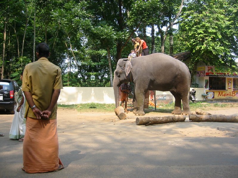 Kochi India Ready for an elephant ride in Kerala.