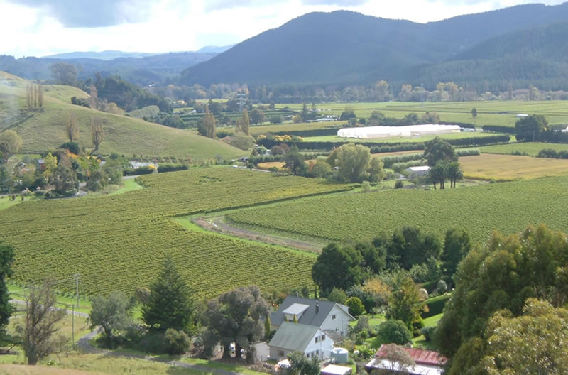 Napier New Zealand Esk Valley and vineyards - north of Napier, New Zealand