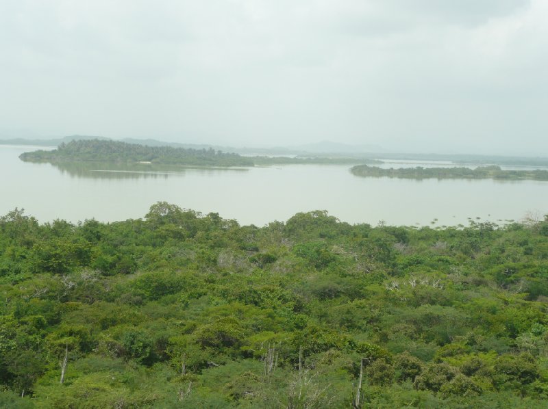 The green forests of Santa Catalina, Colombia., Colombia