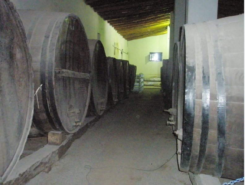 Wineries in Mendoza, Argentina, Mendoza Argentina