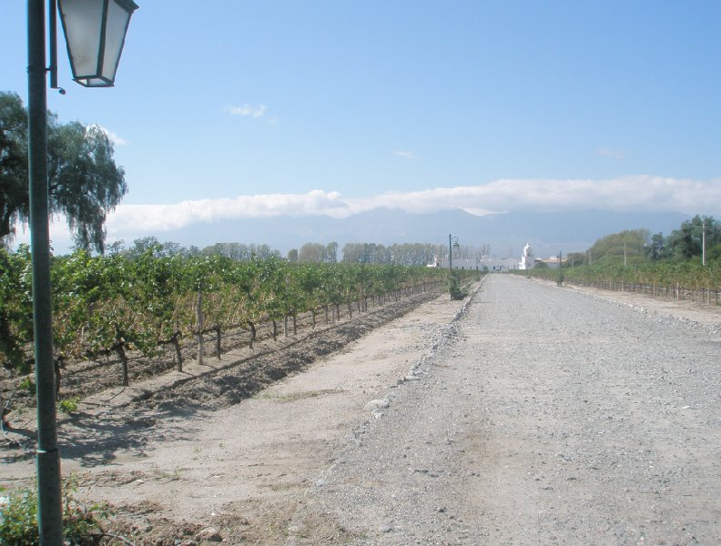 Photos of the Mendoza wine region in Argentina, Mendoza Argentina