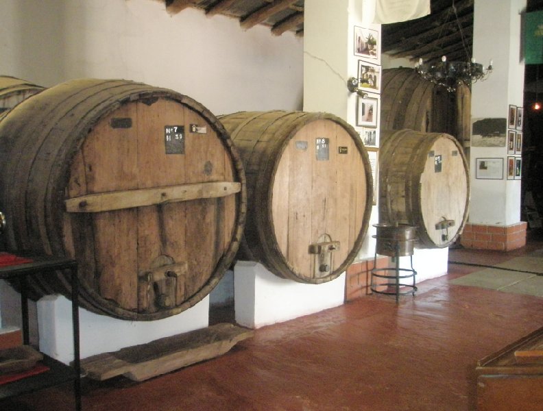 Pictures of a wine tasting in Mendoza, Argentina, Mendoza Argentina