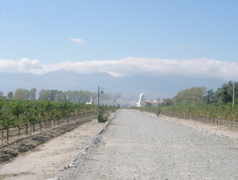 Cycling along Mendoza wine routes, Argentina, Argentina