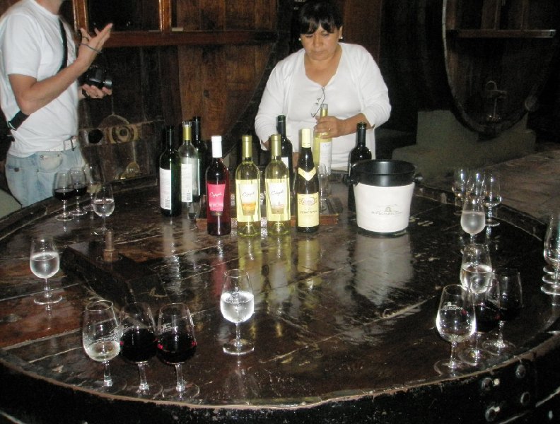 Mendoza wine tours, Argentina, Mendoza Argentina