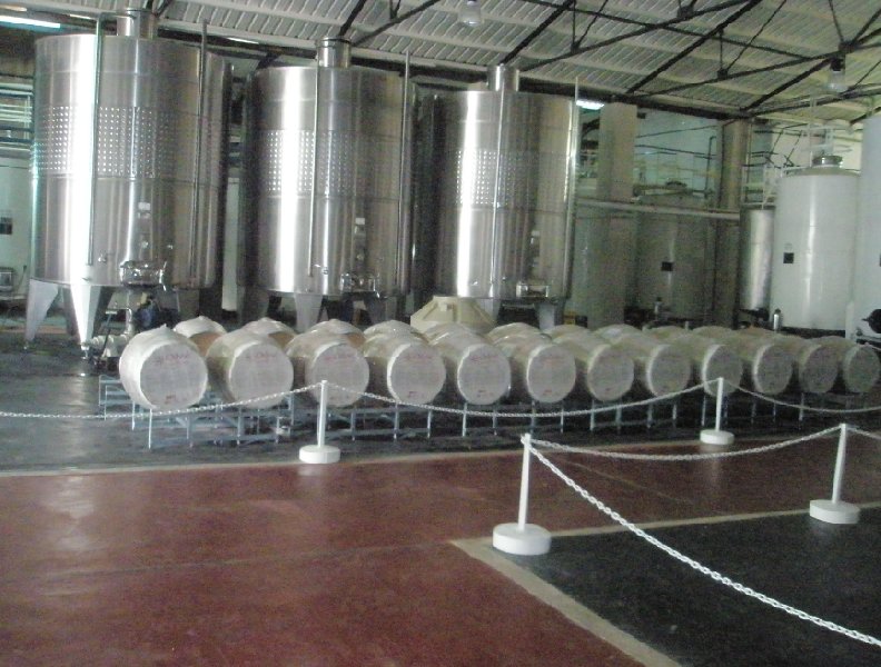 Tour to the Mendoza wineries, Mendoza Argentina