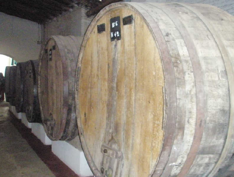 Wine cellars in Mendoza, Argentina, Mendoza Argentina