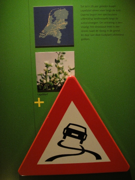 Something about road signs at the Natuurhistorisch Museum in Maastricht, Netherlands