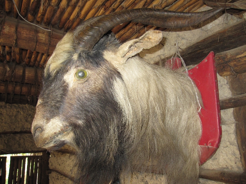 Photos of the Museo Inti Nan near Quito in Ecuador, Ecuador