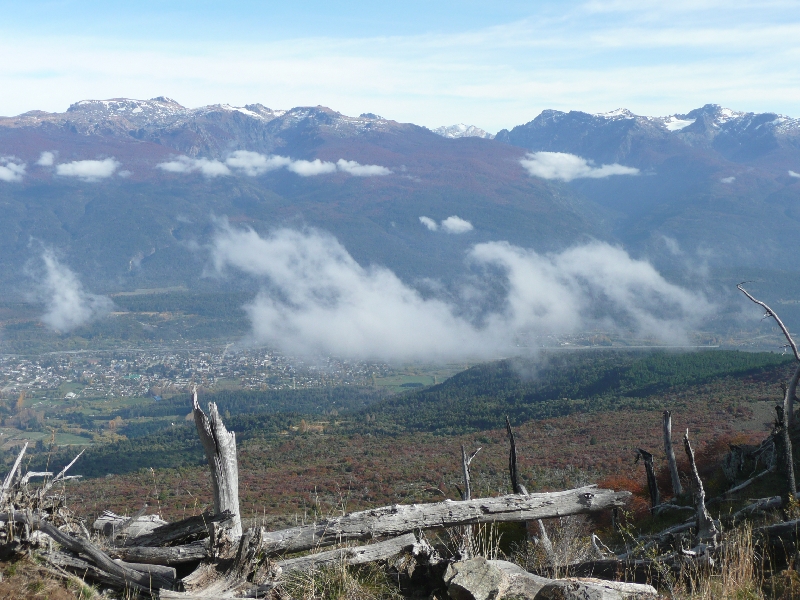 Wooden sculptures of El Bolson, Argentina, Argentina