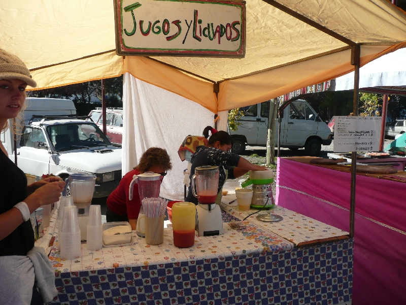 Fresh fruit smoothies in El Bolson, Argentina