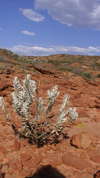 Rocky cliffs in Rainbow Valley, Kalbarri, Australia