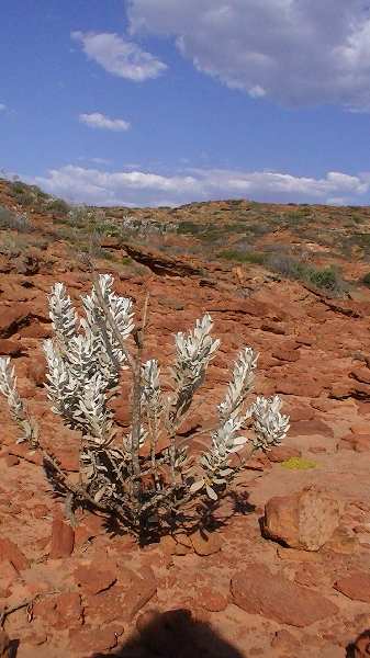 Rocky cliffs in Rainbow Valley, Kalbarri, Kalbarri Australia