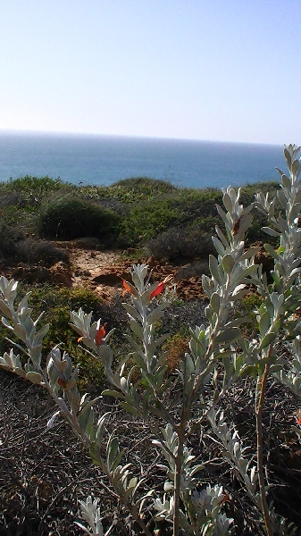 Panoramic photo of Rainbow Valley, Kalbarri, WA, Kalbarri Australia