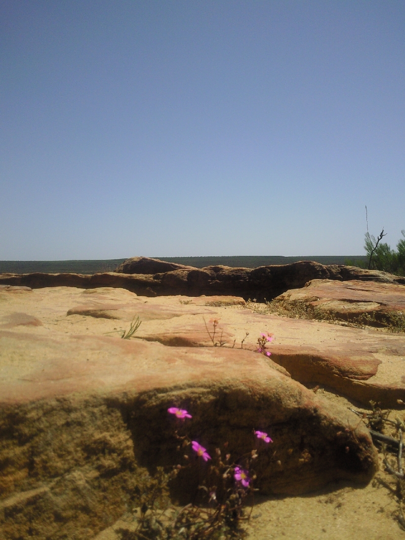 Rocky cliffs of the Kalbarri National Park, Kalbarri Australia