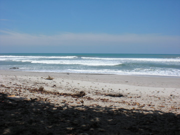 Photo Great surf and beaches in Tamarindo airport