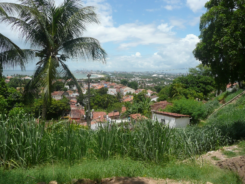 Olinda Brazil Looking out over Olinda and Recife