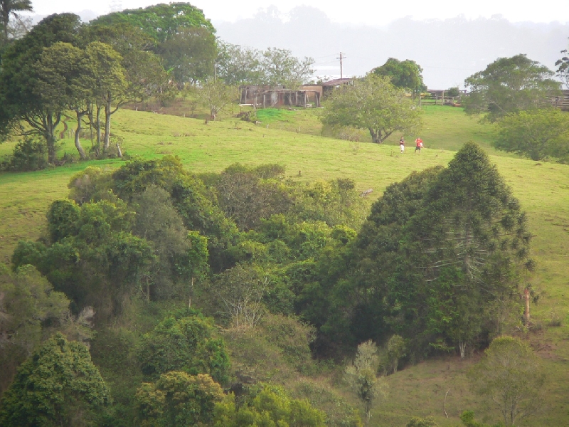 Maleny Australia One morning we woke up to gently misty rain over the green hills - it was so beautiful listening to the water fall and the shrouds of mist rising from the valley floor.