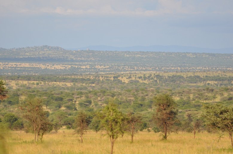 Photos of the Serengeti National Park in Tanzania, Tanzania