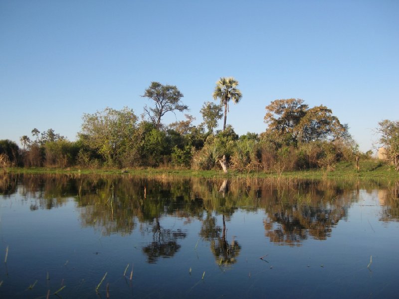 Pictures of the Okavango Delta, Botswana, Botswana