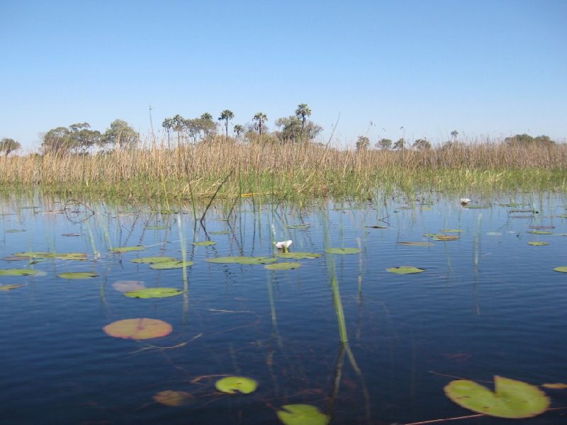 Photos of the Okavango Delta, Botswana, Botswana