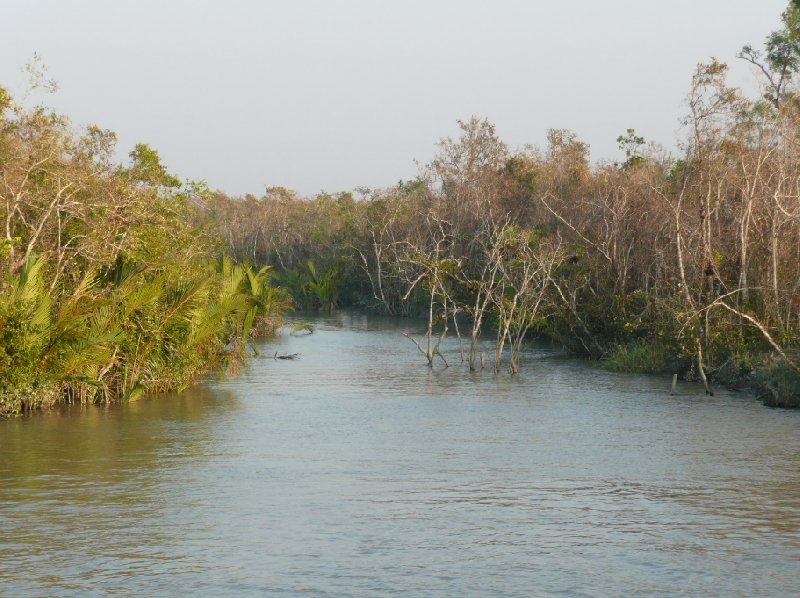 Cruise safari through the Sundarbans National Park, Bangladesh